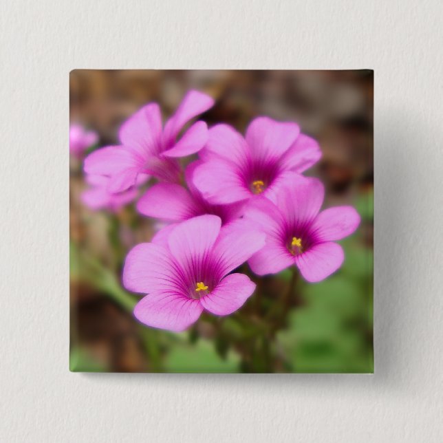 Über die Schaltfläche "Haustüre" Button (Vorderseite)