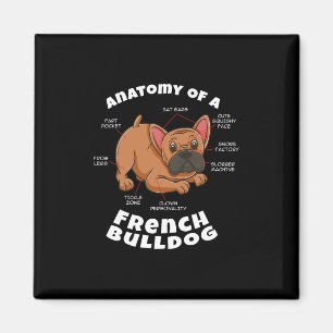 Über eine Französische Bulldogge Magnet