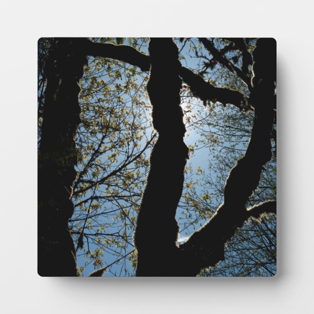 ÜBER FOTOPLATTE (Vorderseite)