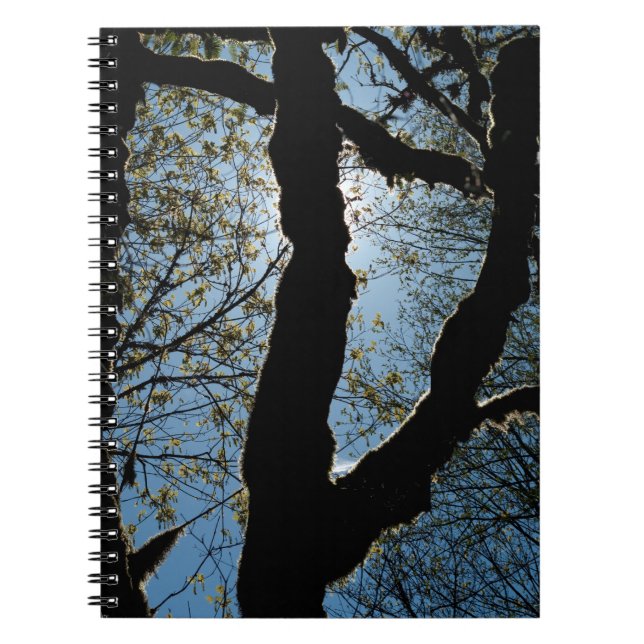 ÜBER NOTIZBLOCK (Vorderseite)