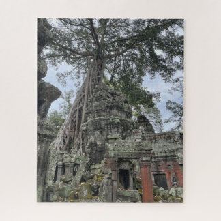 Über Temple Ta Prohm Kambodscha gewachsene Wurzeln