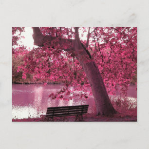 Überall blühen schöne rosa Blüten Postkarte