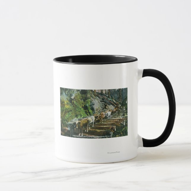 Überblick über die Hauling-Logs der Ox-Teams Tasse (Rechts)
