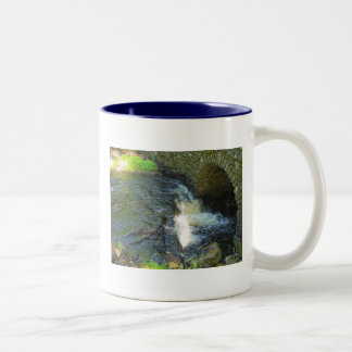 Überbrücken Sie über gestörter Wasser-Tasse Zweifarbige Tasse
