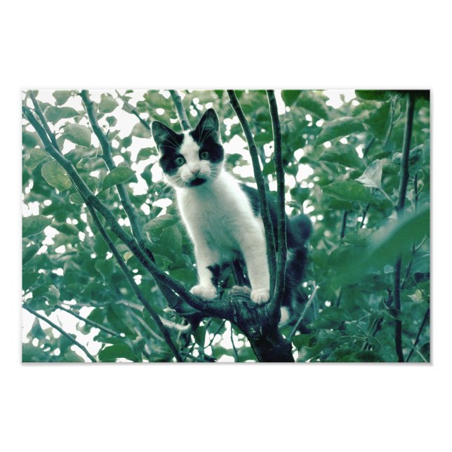 Überfluss der Naughtlichkeit Fotodruck (Vorne)