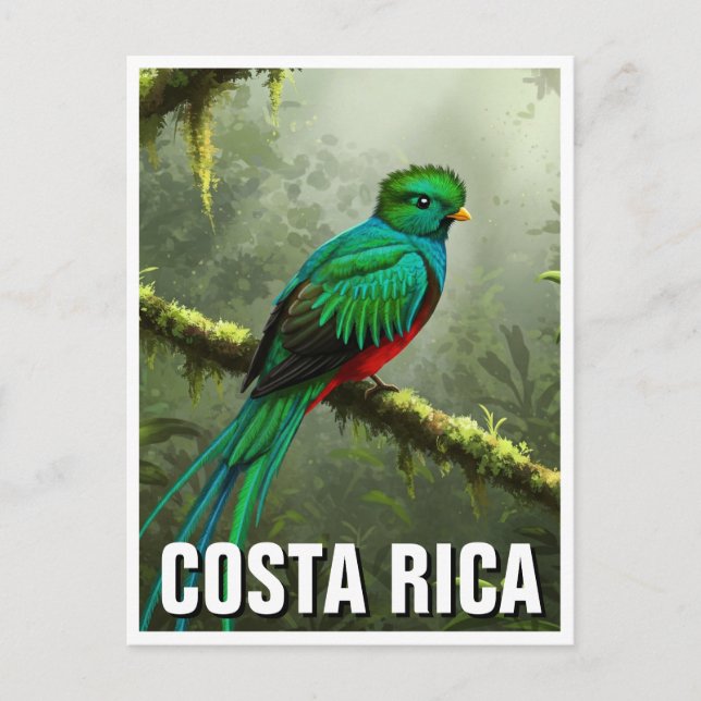 Überfluteter Nebelwald Quetzal Monteverde Postkarte (Vorderseite)