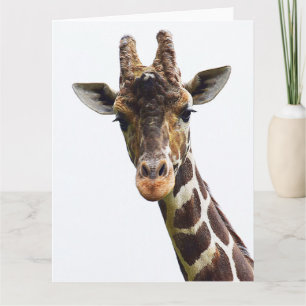 Überkopf-Giraffe Große Grußkarte Karte