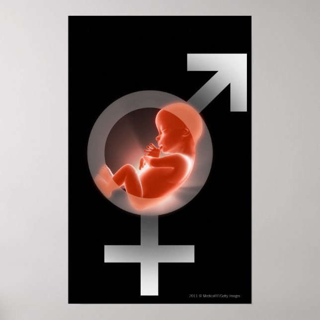 Überlagerter Fötus über männliche und weibliche Sy Poster (Vorne)