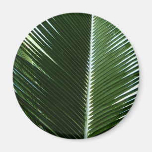 Überlappen von Palm Fronds Tropical Green Abstrakt Magnet