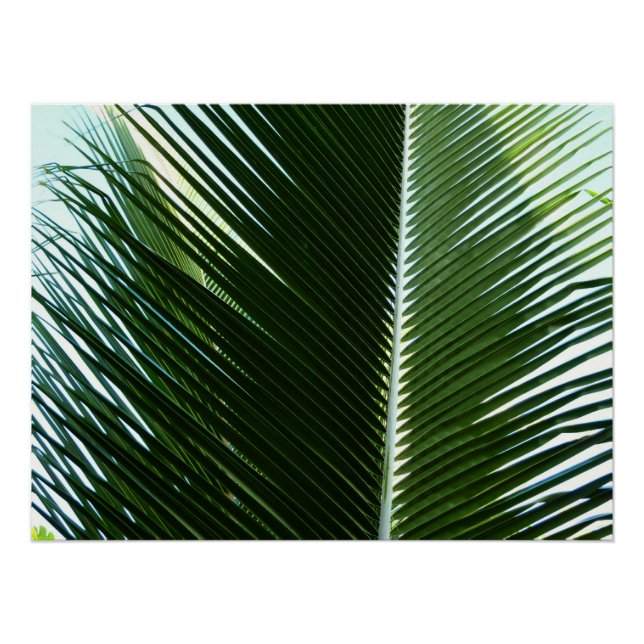 Überlappen von Palm Fronds Tropical Green Abstrakt Poster (Vorderseite)