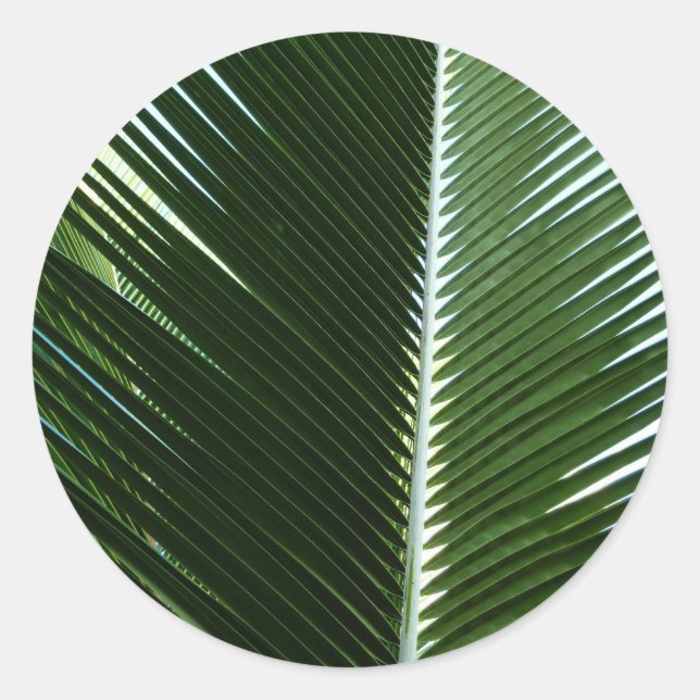 Überlappen von Palm Fronds Tropical Green Abstrakt Runder Aufkleber (Vorderseite)