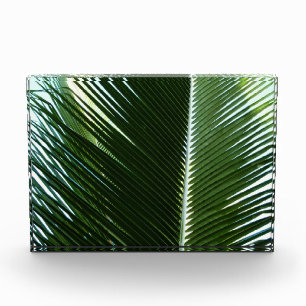 Überlappende Palmwedel Tropisches Grün Abstrakt Fotoblock