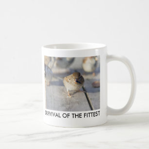 Überleben des Prüfkörpers Kaffeetasse
