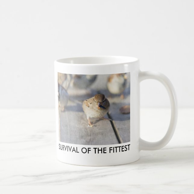 Überleben des Prüfkörpers Kaffeetasse (Rechts)