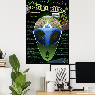 Überleben von DISClosure Poster