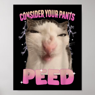 Überlege dir, deine Hose hat gepinkelt Dummer Katz Poster