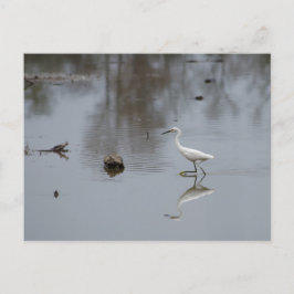 Überlegungen eines schneebedeckten Felsens Postkarte