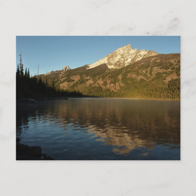 Überlegungen zum Jenny Lake I Postkarte (Vorderseite)
