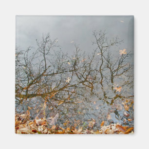 Überlegungen zur Herbstmagnet Magnet