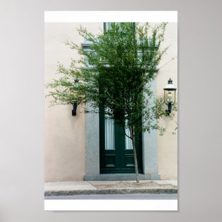 Übernahme der Natur Poster