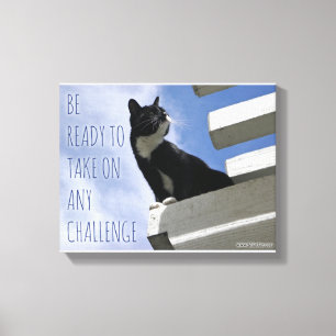 Übernehmen Sie die Niedliche Cat-Motivation der We Leinwanddruck