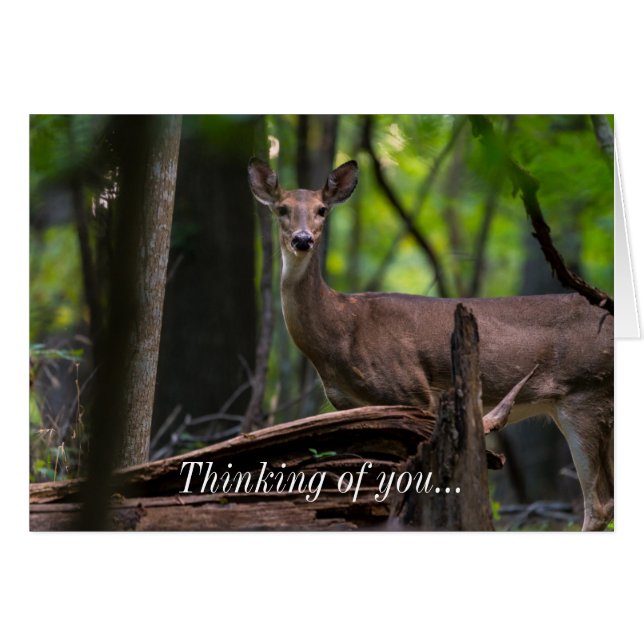 Überprüfen Sie das Denken Ihrer Karte (Vorderseite (Horizontal))