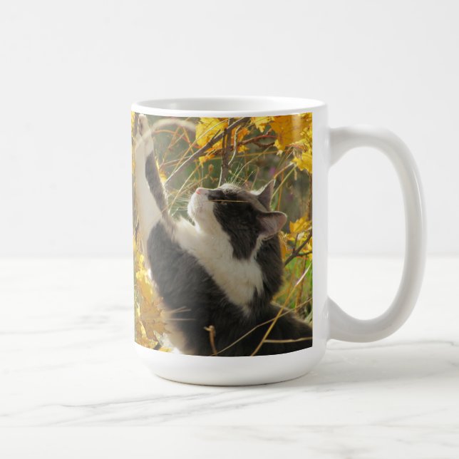 Überprüfen Sie die Herbstfarben durch djoneill Kaffeetasse (Rechts)