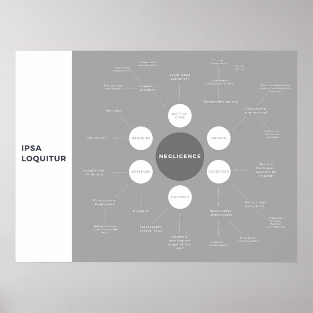 Überprüfung des Nachlässigkeitsgesetzes - Übersich Poster (Vorne)