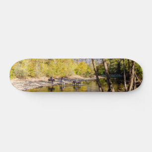 Überquerung des Buffalo Skateboard