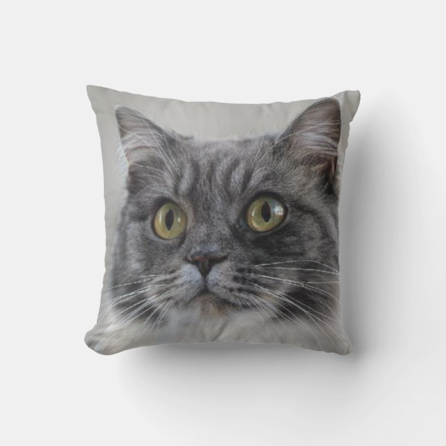 Überraschende graue Katze, eine charakteristische  Kissen (Vorderseite)