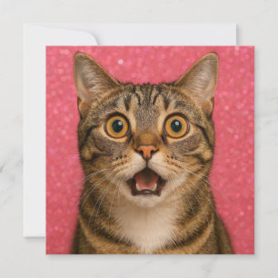 Überraschende Katzen-Grußkarte. Karte