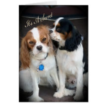 Überraschendes Party "It's a Secret" Karten