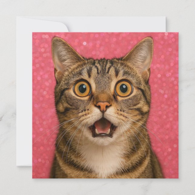 Überraschte Cat Grußkarte. Karte (Vorderseite)