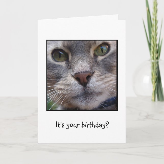 Überraschte Katze, ist es Ihr Geburtstag? Karte (Vorderseite)