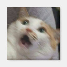 Überraschte Katze Meme