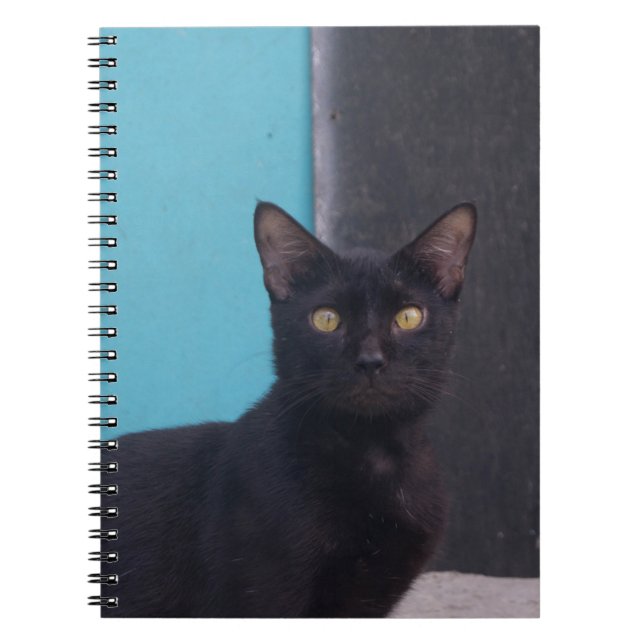 Überraschte schwarze Katze Notizblock (Vorderseite)