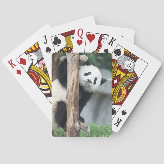 Überraschte Spielkarten Panda-CUBs (Rückseite)
