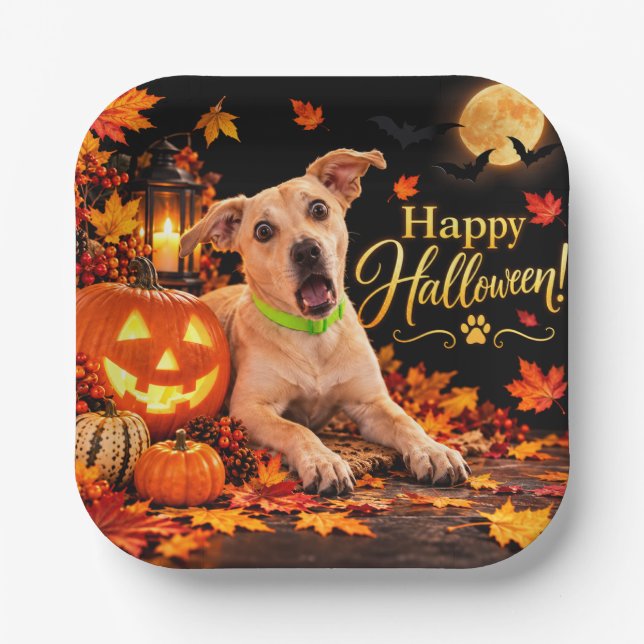 Überraschter Hund Frohes Halloween Pappteller (Vorderseite)