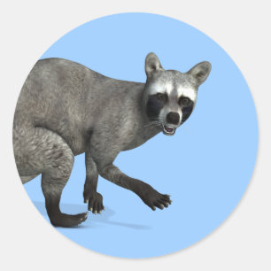 Überraschter Waschbär Runder Aufkleber