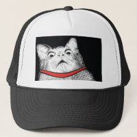 Überraschtes Katzen-Keuchen Meme - Hut