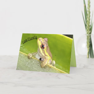 Überraschung! Tree Frog auf Ananas-Pflanze Karte