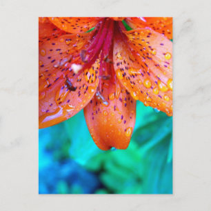 Überreste Postkarte