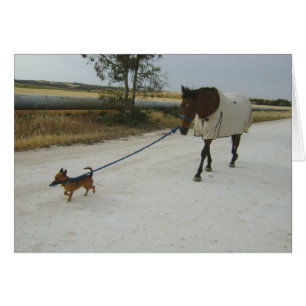 Überschrift für Zuhause