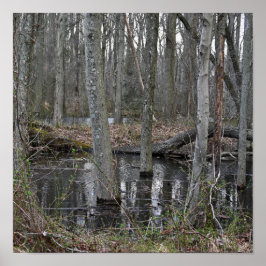 Überschwemmtes Baumposter Poster