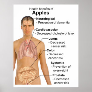 Übersicht über die gesundheitlichen Vorteile von Ä Poster