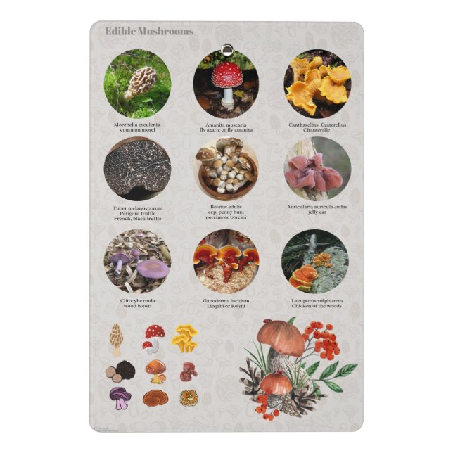 Übersicht über die hilfreichen Mushrooms-Fotos Mini Klemmbrett (Rückseite)