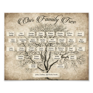Übersicht über die Struktur der Familie der 5 Gene Fotodruck