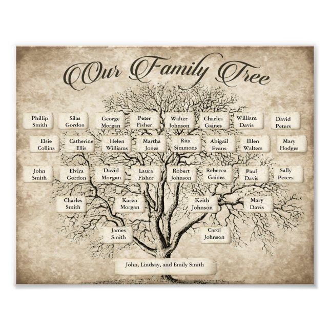 Übersicht über die Struktur der Familie der 5 Gene Fotodruck (Vorne)
