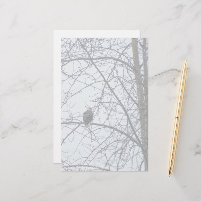 Überwachung (Vorderseite/Rückseite Beispiel)