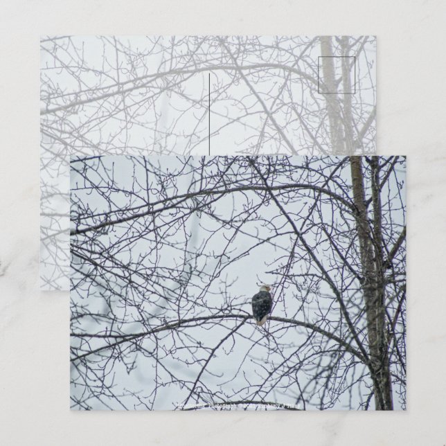 Überwachung Postkarte (Vorne/Hinten)